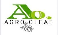 Logo de la web Agro Oleae